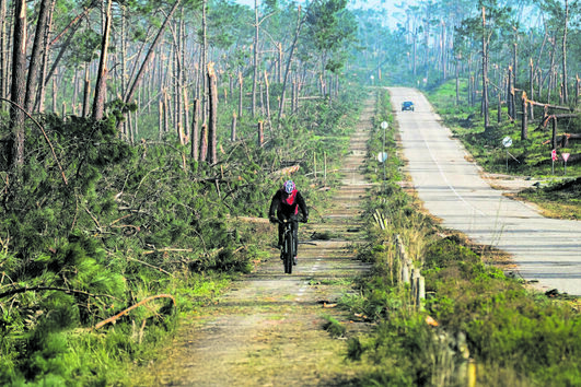 Destruição na estrada Atlântica, na Marinha Grande