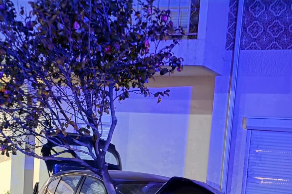 Carro em despiste invade jardim de moradia
