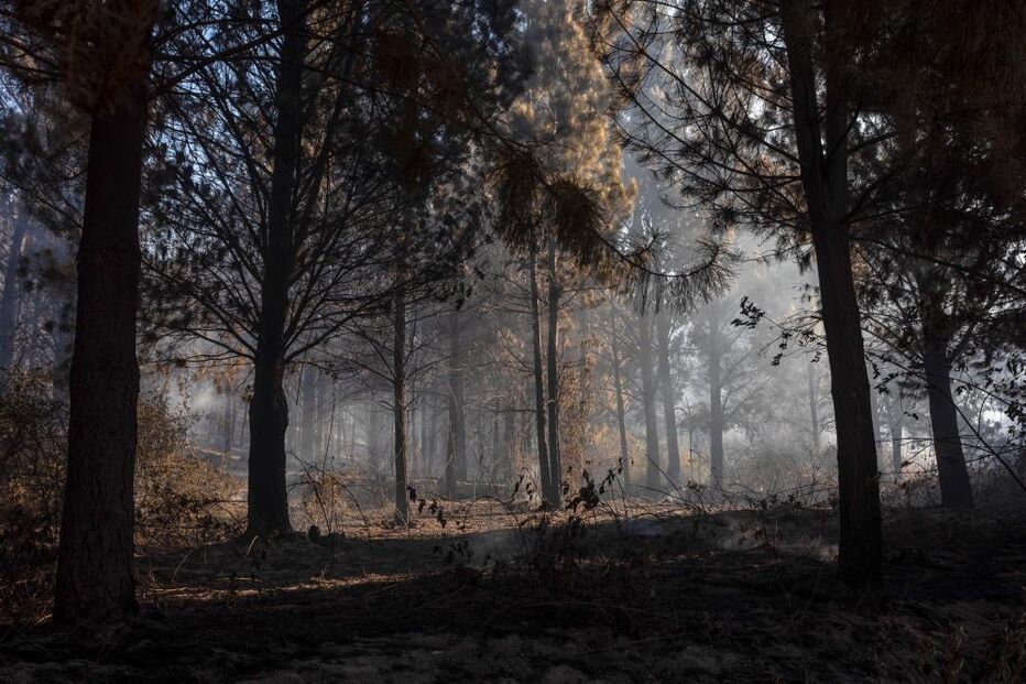 Incêndios na Patagónia argentina forçam a retirada de mais de três mil turistas