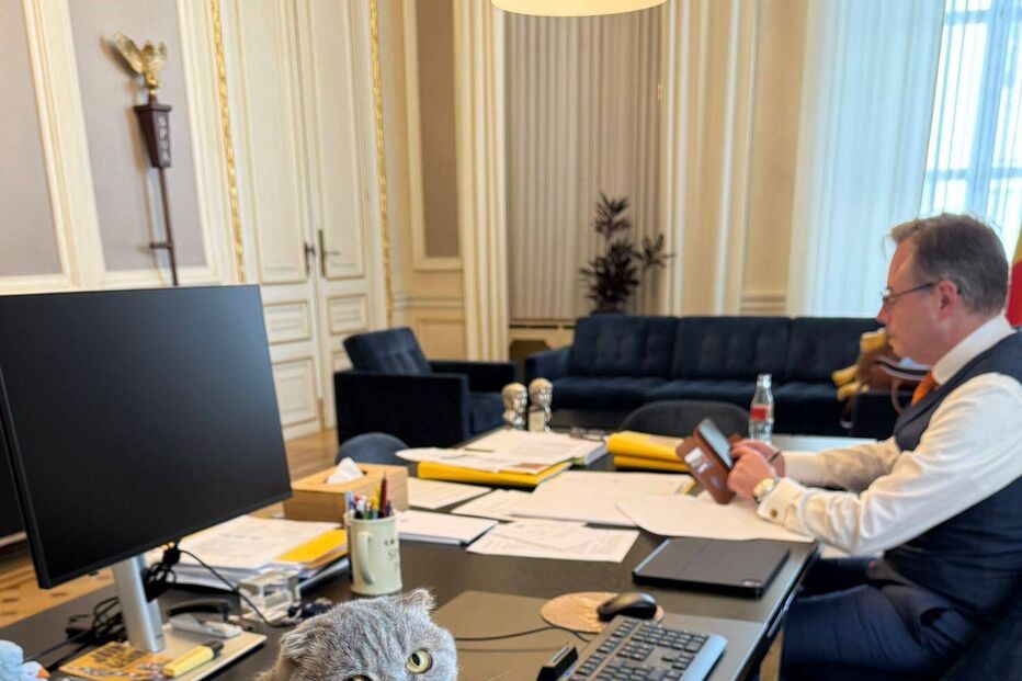 Maximus, o gato do primeiro-ministro da Bélgica, é a nova estrela da política europeia