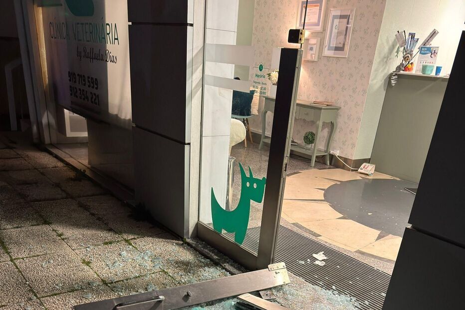 Mãe e filha agredidas e ameaçadas com arma por dois homens em clínica veterinária na Maia. Espaço ficou destruído