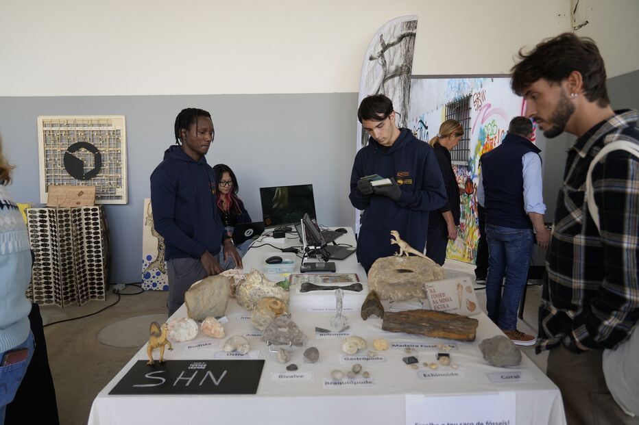 Exposição de fósseis em Torres Vedras, incluindo achados de dinossauros