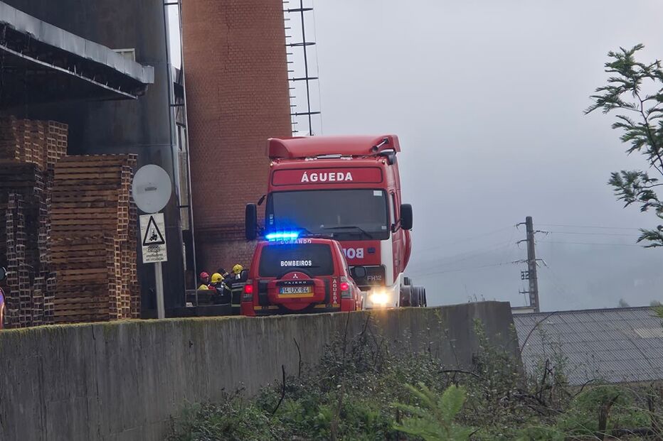 Incêndio numa fábrica de tijolo em Águeda mobiliza bombeiros. Não há feridos