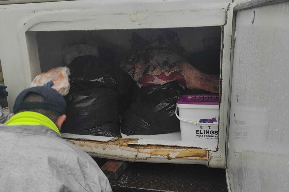 Carne e sacos num camião frigorífico são inspecionados