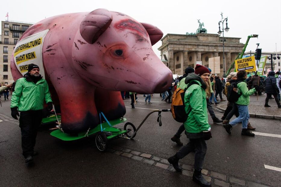 Manifestação em Berlim contra acordo UE-Mercosul com porco gigante
