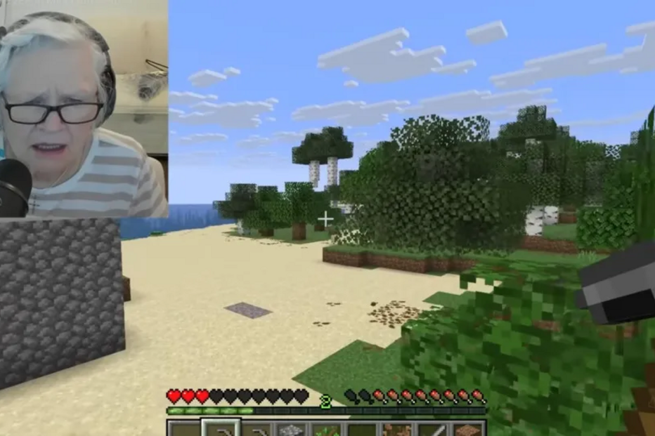 Idosa joga Minecraft, transmitindo a sua experiência online.

