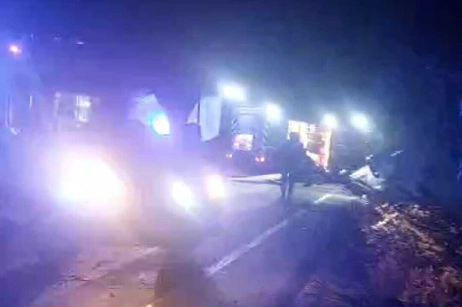 Despiste de carro faz um ferido em Águeda