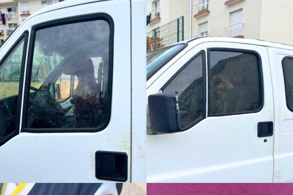 PSP resgata cães em viatura sem condições de higiene e segurança