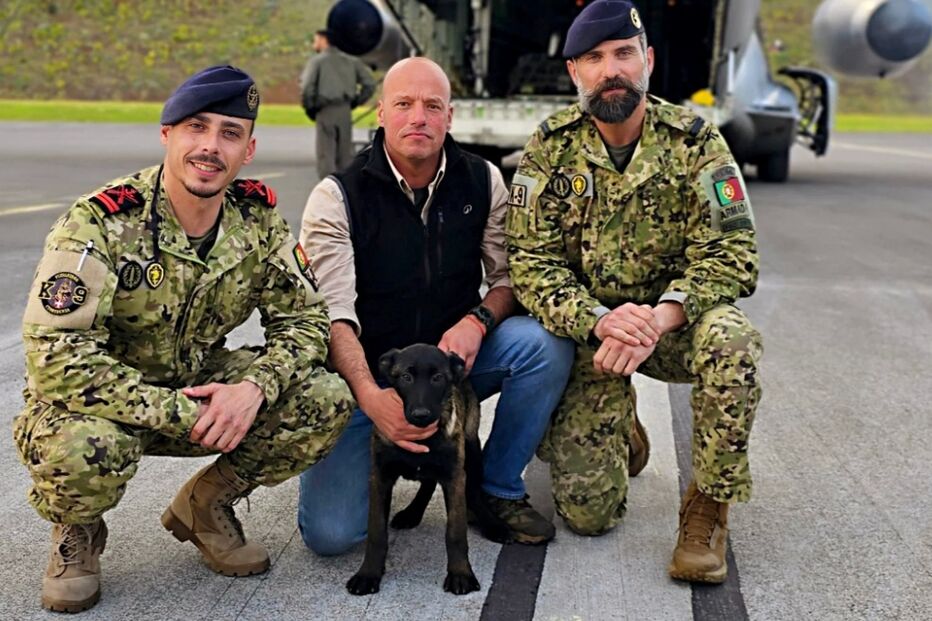 Militares portugueses posam com cão de serviço