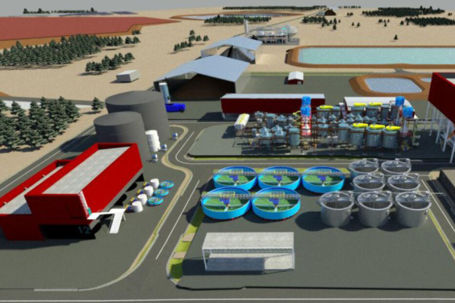 Implantação do projeto implica instalação de lavaria, acessos e anexos mineiros