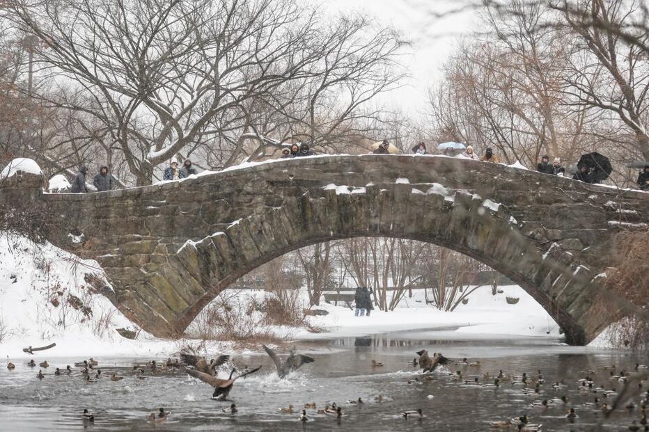 Nevão no Central Park, em Nova Iorque