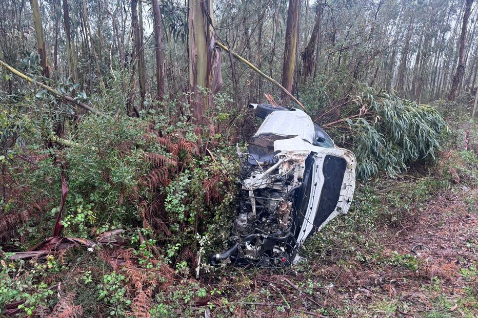 Despiste na A1, entre Feira e Estarreja, provoca ferimentos num condutor