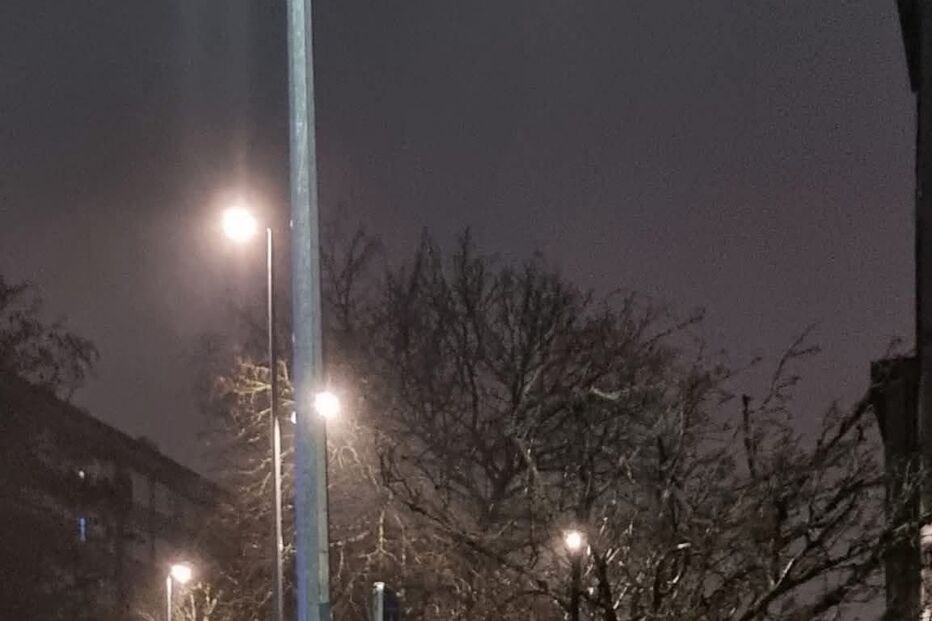 Queda de árvore no Porto