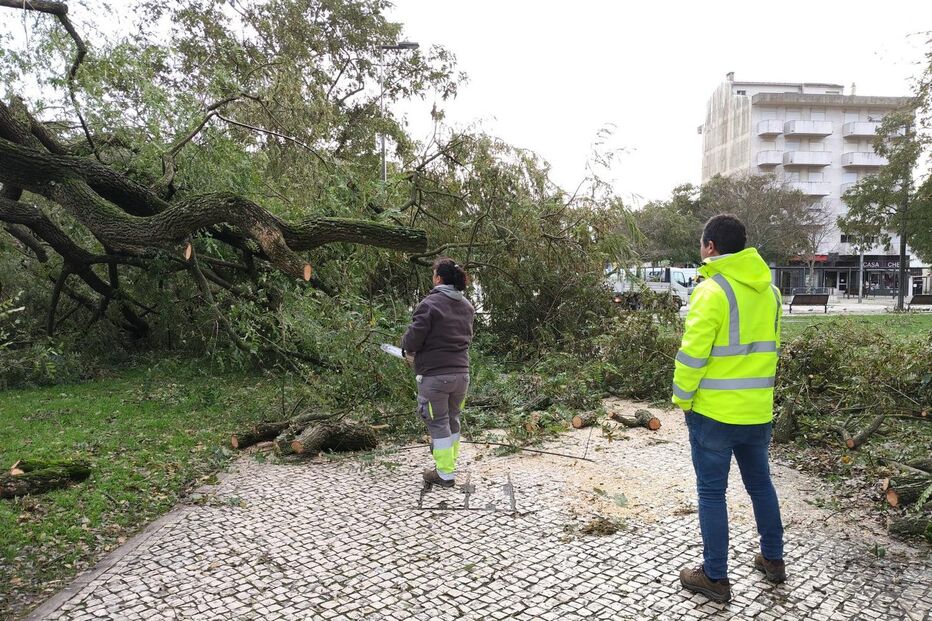 Kristin deixa rasto de destruição no concelho de Santarém