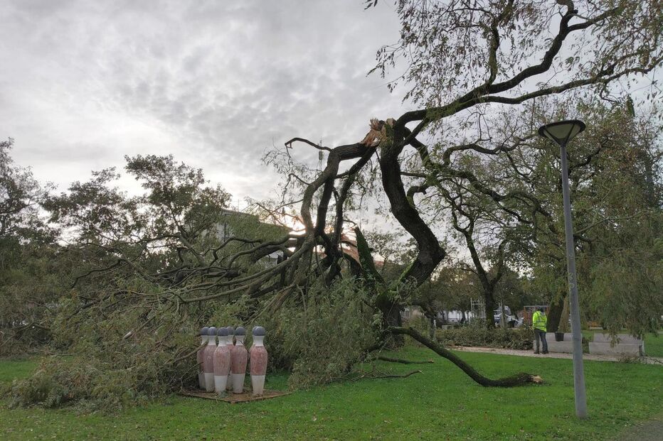 Kristin deixa rasto de destruição no concelho de Santarém