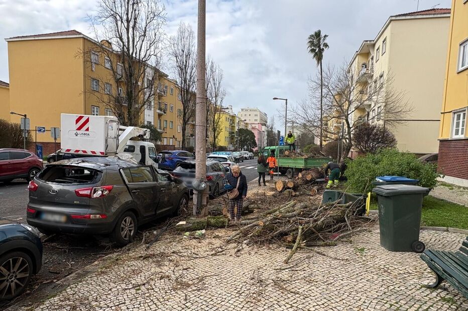 WhatsApp Image 2026-01-28 at 10.40.52 (1).jpg