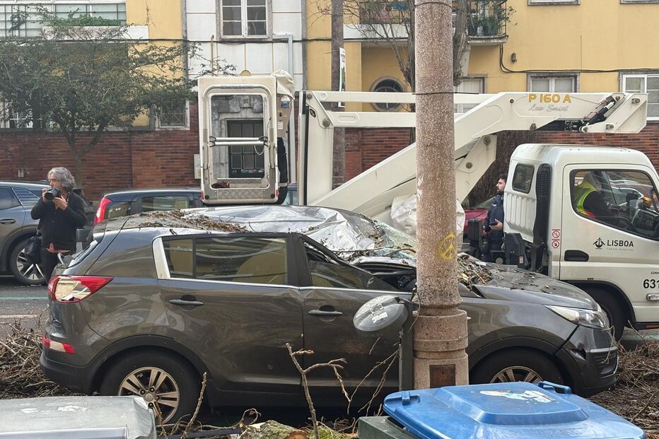 Carro danificado após queda de árvore em Alvalade, Lisboa