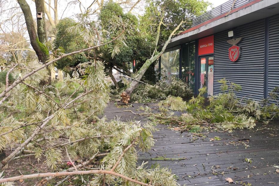 Kristin deixa rasto de destruição no concelho de Santarém