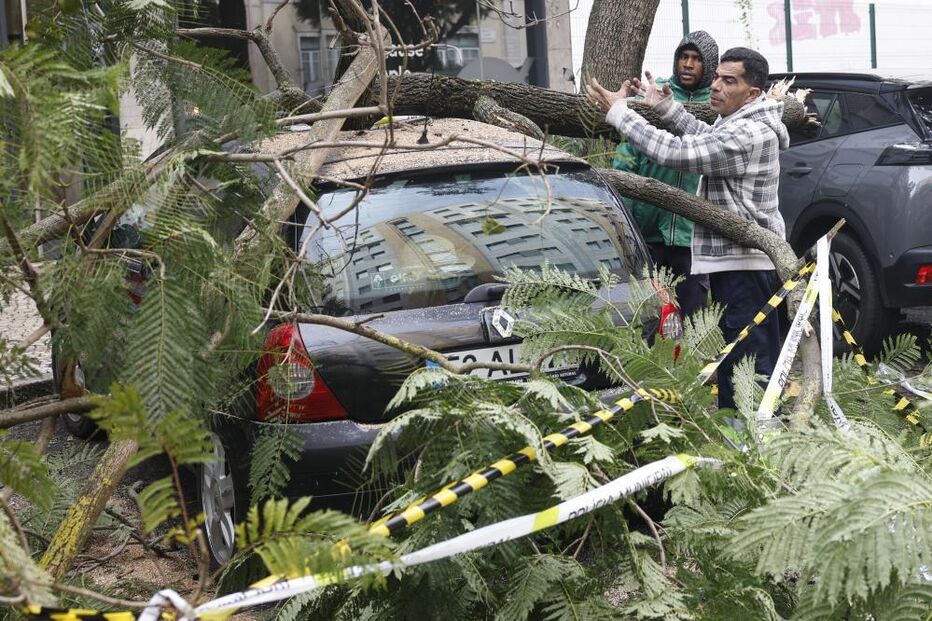Trabalhadores da Câmara Municipal de Lisboa retiram uma árvore caída em cima de um automóvel