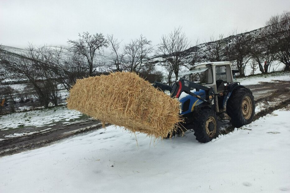 Neve em Casais de Folgosinho-Quintas de Montanha