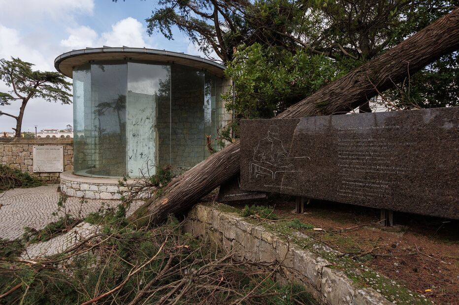 Os efeitos da passagem da depressão Kristin pelo Santuário de Fátima