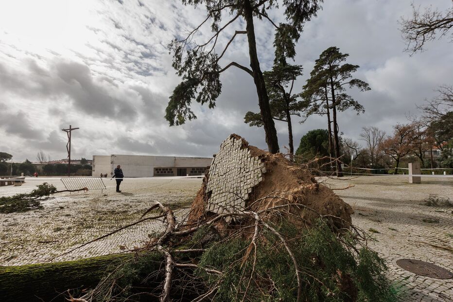 Os efeitos da passagem da depressão Kristin pelo Santuário de Fátima