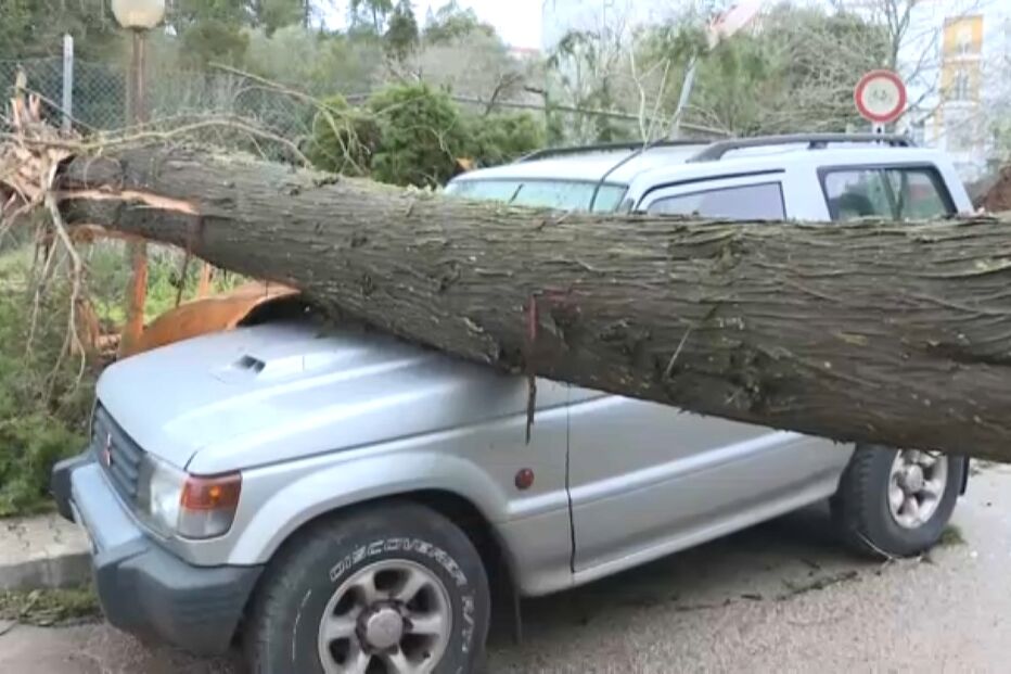 Árvore caída danifica viatura em Montemor-o-Novo e bloqueia a EM 530