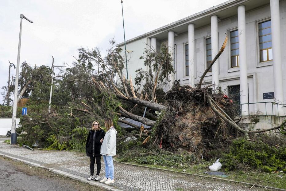 Queda de árvore causa estragos em Leiria, enquanto moradores avaliam os prejuízos