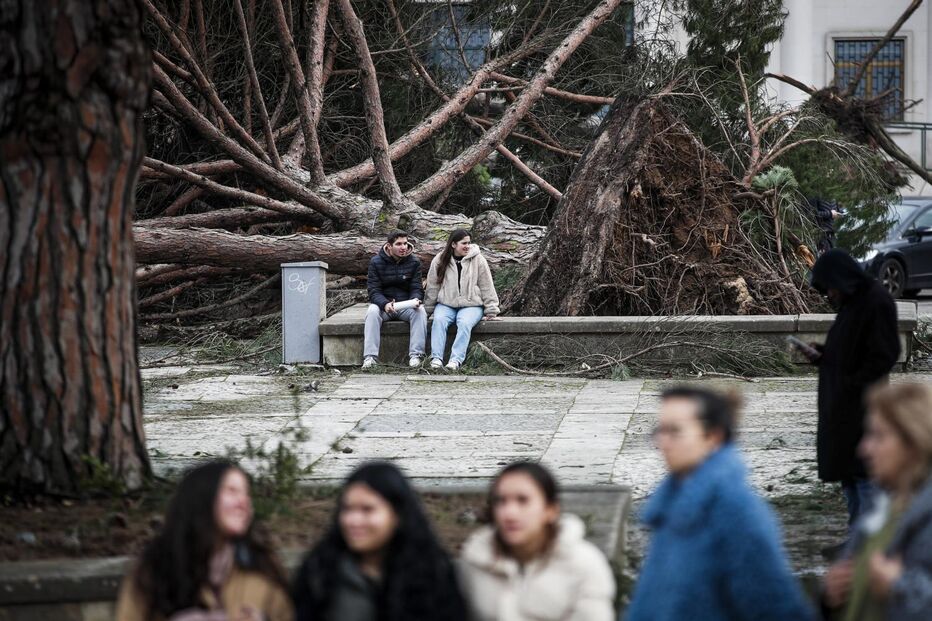 Árvores caídas em Leiria causam transtorno a moradores e comércio