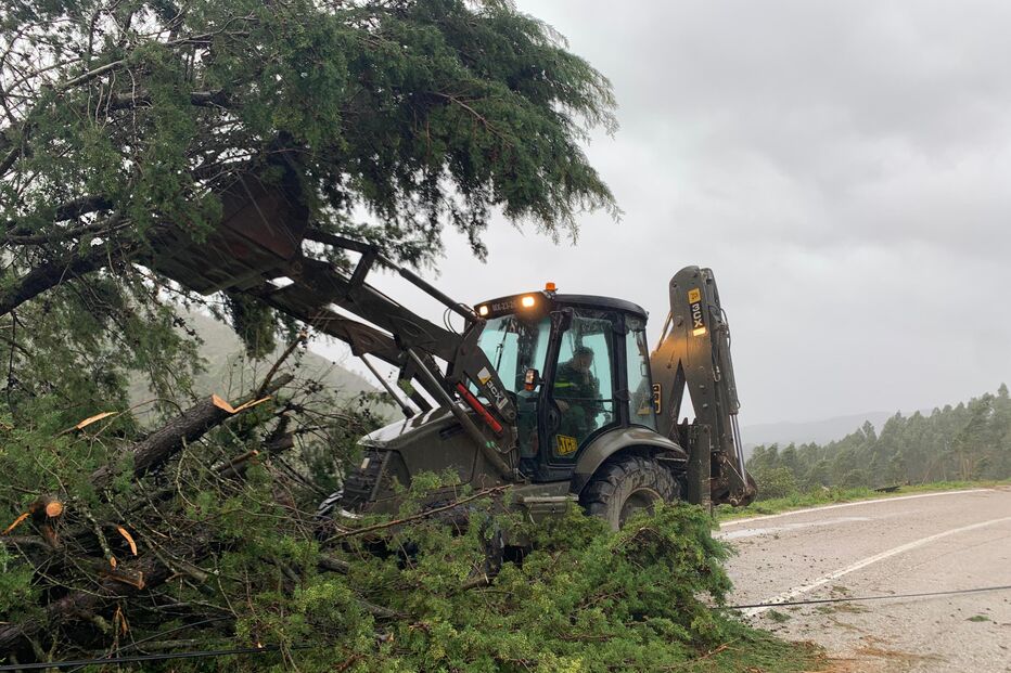 Máquina remove árvores caídas na estrada após tempestade