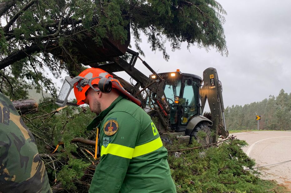Militar e maquinaria removem árvore caída da via após tempestade
