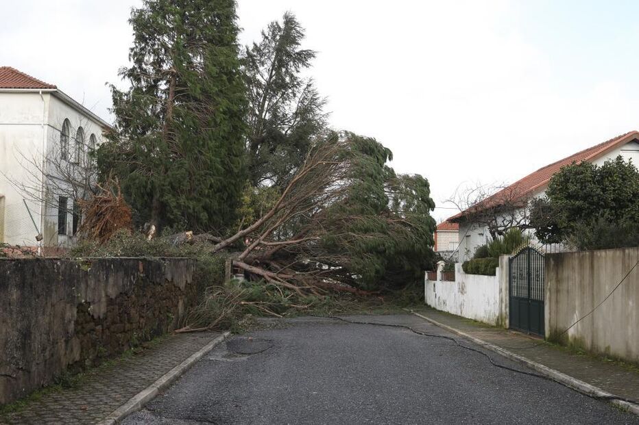 Destruição causada pela depressão Kristin em Castelo Branco