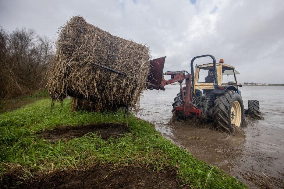 Inundações em Montemor-o-Velho: trator remove fardos junto ao rio Mondego