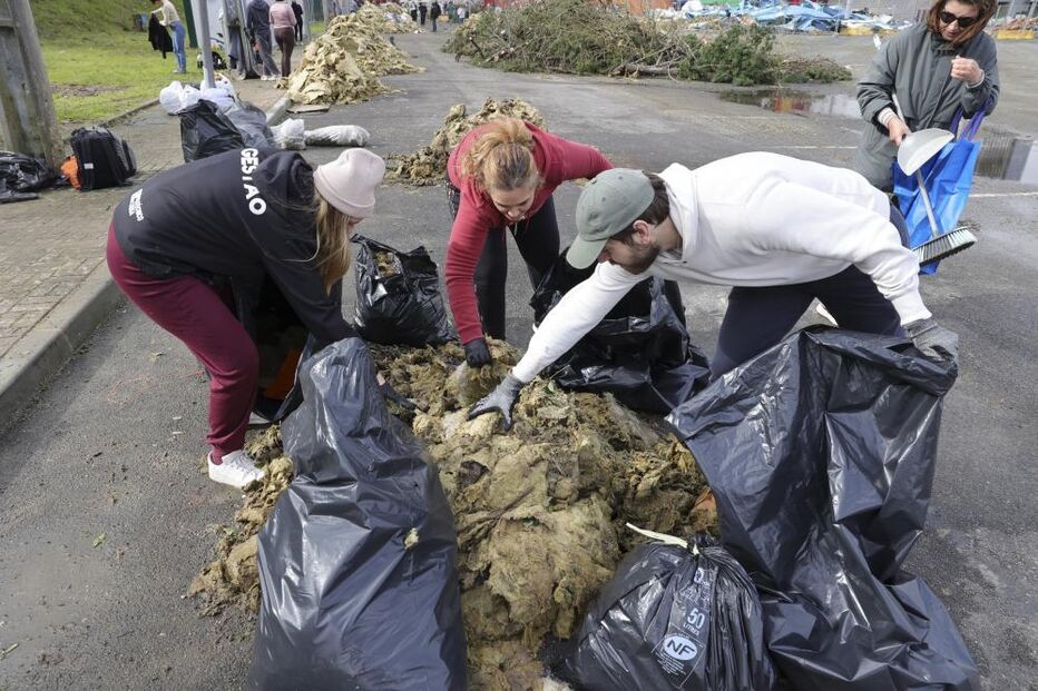 Voluntários participam na limpeza da cidade de Leiria