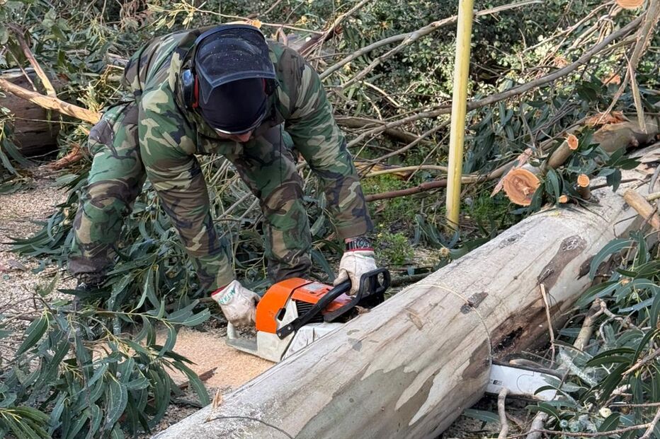 Militar corta árvore com motosserra durante ação de apoio em Leiria