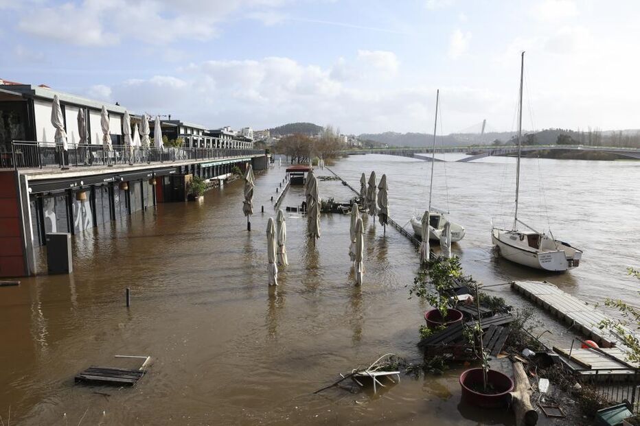 Cheias em Coimbra forçam evacuação do canil municipal devido à subida do rio Mondego