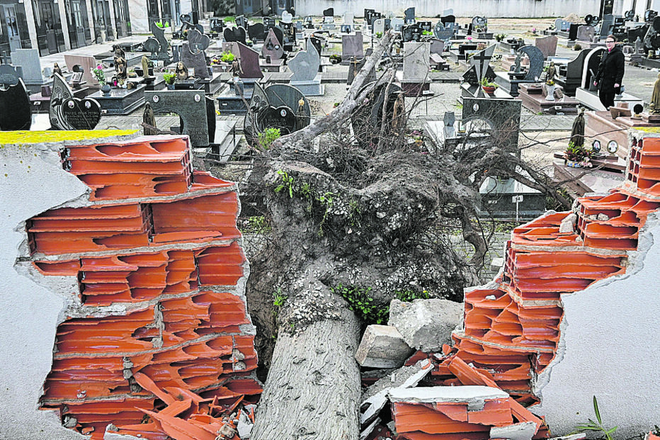 Cemitério de Garcia, na Marinha Grande, depois da passagem da depressão ‘Kristin’ 