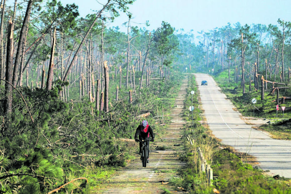 Ciclista em área afetada pela depressão Kristin perto de Lisboa