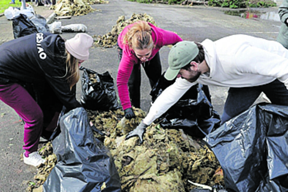 Populares sentiram-se na obrigação de ajudar a cidade de Leiria a recuperar-se da tempestade 
