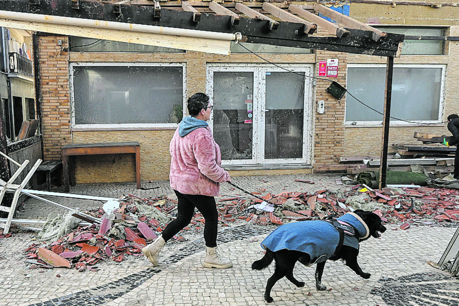 Populares sentiram-se na obrigação de ajudar a cidade de Leiria a recuperar-se da tempestade 