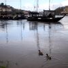 <![CDATA[ Colisão entre barcos no origem de acidente no rio 