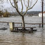 Ereira, em Montemor-o-Velho, foi uma das localidades afetadas pela subida do caudal do Mondego 