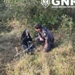 GNR localiza idosa que estava desaparecida nas Caldas da Rainha