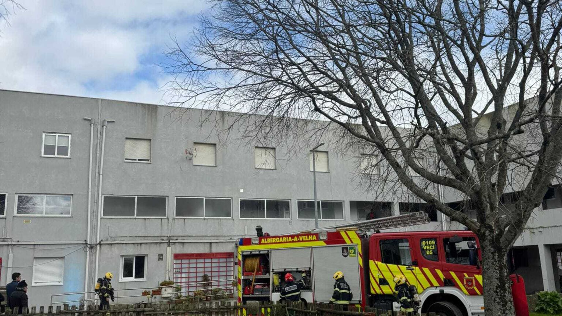 Idosa desalojada após incêndio em Albergaria-a-Velha