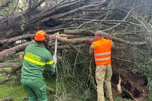 Paraquedistas de Tomar empenhados