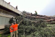 Paraquedistas de Tomar empenhados