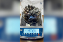 Guardas tramam reclusos traficantes na cadeia de Lisboa