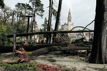 Peregrinos da Ásia ajudam à subida de visitas e receitas do Santuário de Fátima
