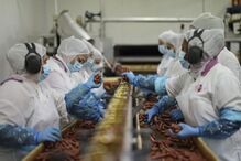 Sicasal retoma produção com parte dos trabalhadores e aguarda por investidores