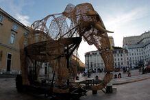 Meio século de Trigo Limpo Teatro Acert, uma celebração de 50 anos